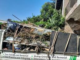 Best Property Management Cleanouts  in Maggie Valley, NC